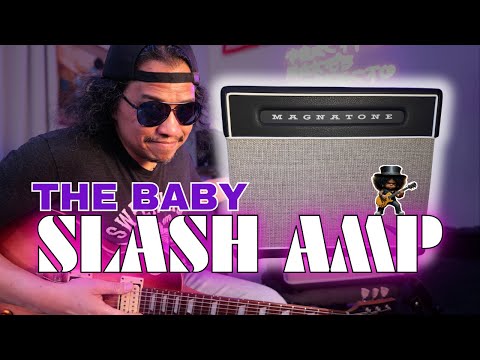 Magnatone Baby M-80 Combo Amplifier image 4