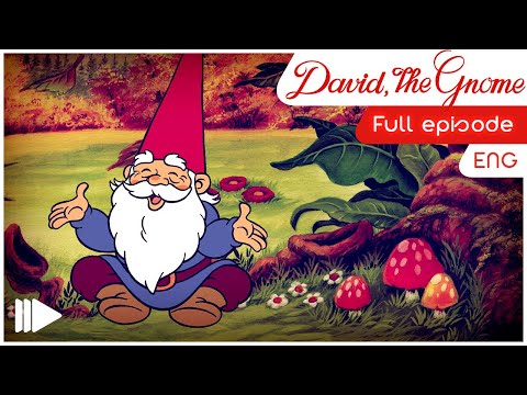 David the Gnome - 2 - The little witch | Full Episode |