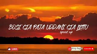 Download lagu Bosi cia paja uddani cia lettu ( speed up) mp3