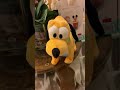 Walking Barking Disney Pluto