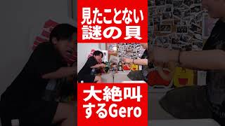 謎の生物を見て大絶叫するGero #肉チョモ #gero #めいちゃん