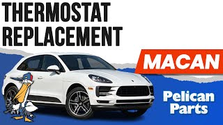 Porsche Macan Thermostat Replacement (P95B 2015 - 2023)