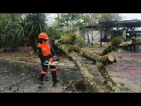 Frente Frío 41 provoca granizo en Coscomatepec y Fortín; en Córdoba fuertes lluvias y viento