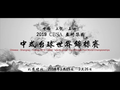 2019 Chinese Pool World Championships 中式台球世錦賽│TOP16 Wang Yun 王云 vs Chris Melling