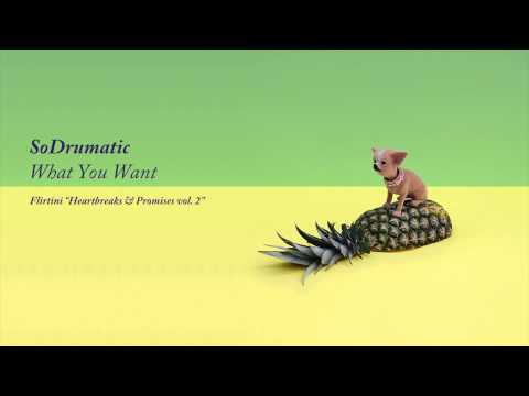 SoDrumatic - What You Want (Flirtini: Heartbreaks & Promises vol. 2)