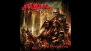 brain drill apocalyptic feasting full song