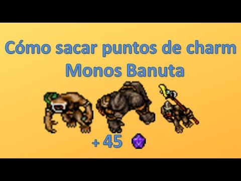 Tibia Guías - Donde sacar charms - Kongra Sibang y Merlkin - Monos Banuta