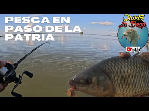 PESCA EN PASO DE LA PATRIA @matiasleguiza 