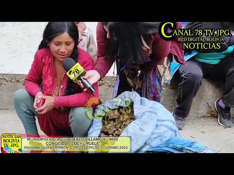 XIV FERIA DEL CHAMPIÑON, COMIDAS TIPICAS Y TURÍSMO 2023