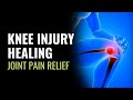 Knee Injury Healing Repair Meniscus Cartilage Boost Your Strength Movement Joint Pain Relief