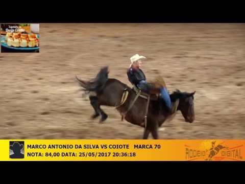 MARCO ANTONIO DA SILVA x COIOTE   MARCA 70 25052017203618