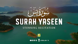 Most beautiful recitation of Surah Yaseen (Yasin) 