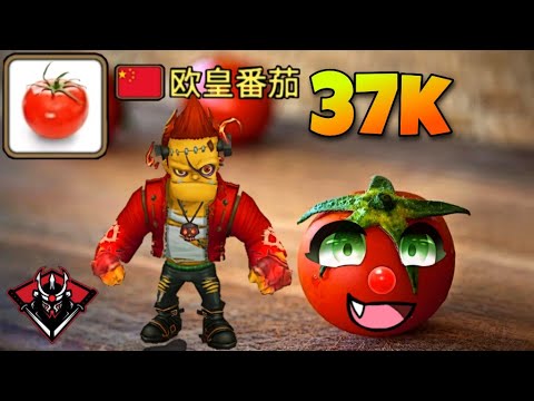 TOMATO's 🍅 ~37k DMG Bulldozer is Wild! | SUMMONERS WAR