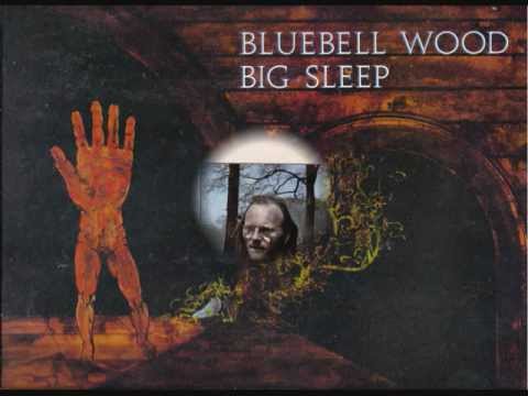 big sleep - odd song