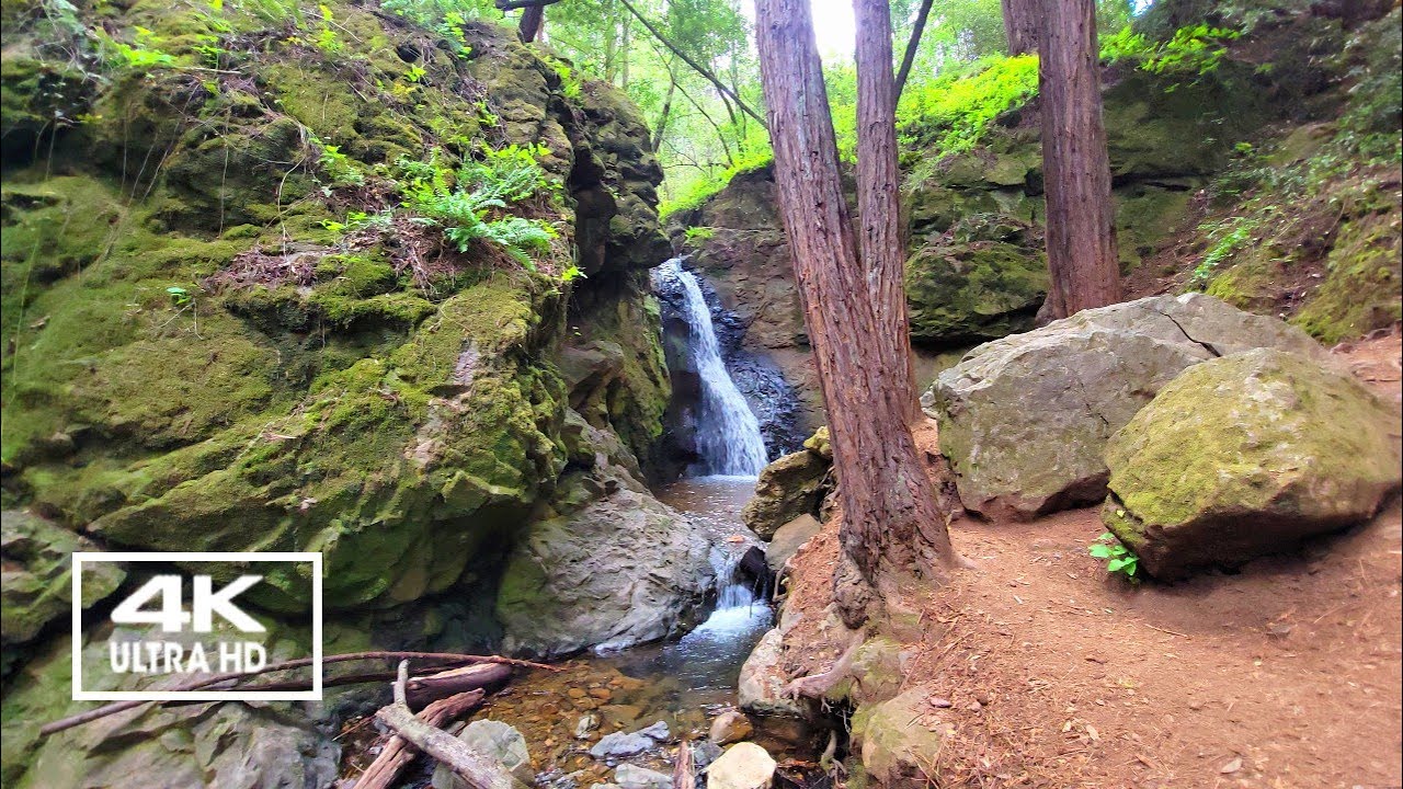 How I Found Secret Waterfall: Cascade Falls - Relaxing Walking Tour [4K]