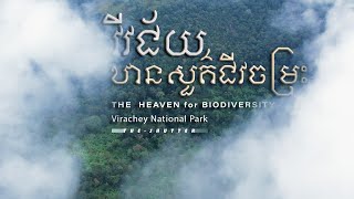 Drone Show Reel at Virachey National Park [4K]