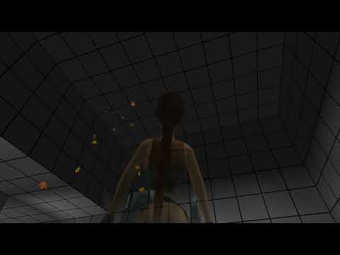 Video 5
