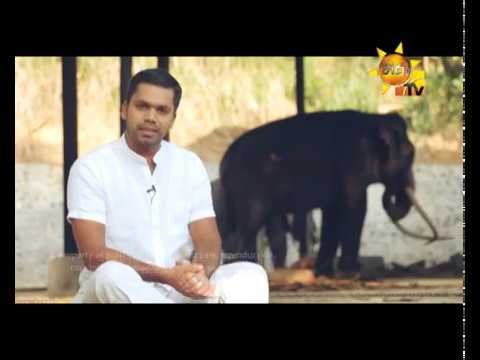 Hiru TV