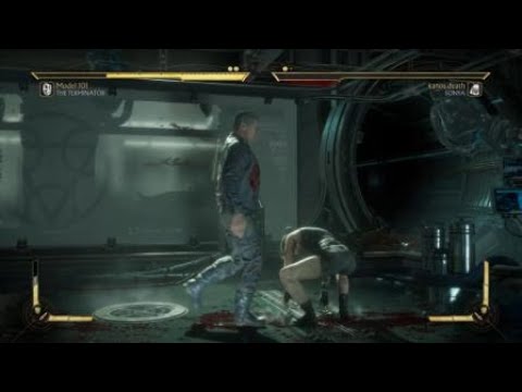 Mortal Kombat 11_ the terminatior vs sonya blade movie skin