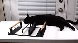 Magnetic    ❤️   Refrigerator Rack - Review    ✅