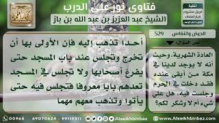 صورة 529 - حكم مكوث الحائض في المسجد الحرام - نور على الدرب