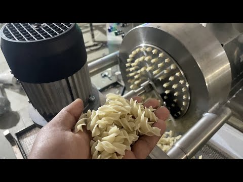 Stainless steel automatic pasta continuous dryer, capacity: ...