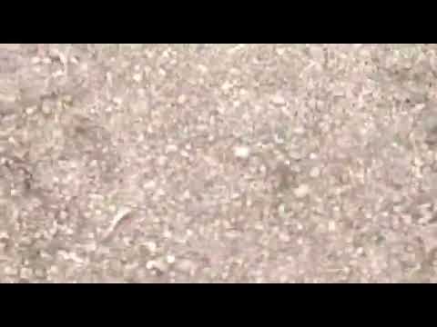 ACIDENTE AVIÃO AGRÍCOLA EMB-202 IPANEMA (05.12.2021) Lagoa da Confusão-Tocantins-Brasil