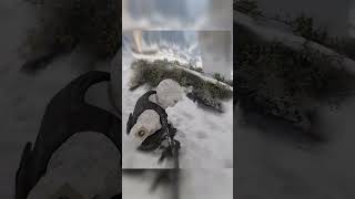 STEALTH KILLS - GHOST RECON BREAKPOINT