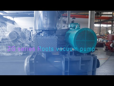 ZG Series Roots Vacuum Pump-EN words-2020.06.21.mp4