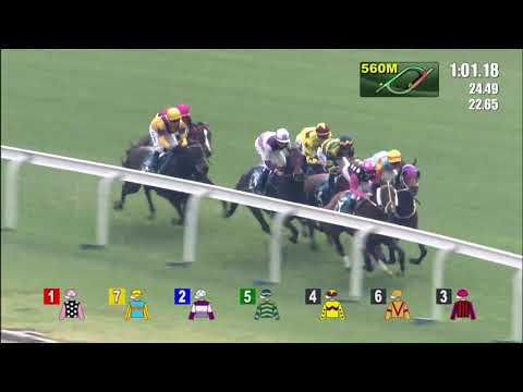 [Stewards’ Cup 2020] Waikuku takes the Stewards’ Cup
