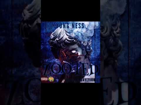 Yung Ness - Zooted (Prod. By Imdaveyjones)