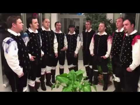 Ansambel MODRIJANI & AKORDI - STUDENČEK (Dekle je zajemalo z vedrom vodo) - Acapella