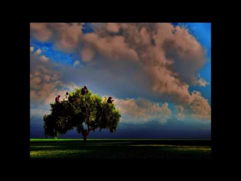 Shin Jung Hyun And The Men - Beautiful Rivers And Mountains