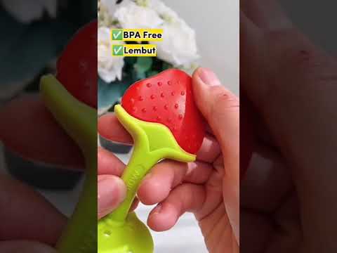 Fruit Shape Baby Teether (BB-1)