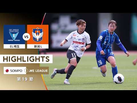 bg-highlight