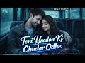 Teri Yado Ki Chadar Odhe तेरी यादों की चादर ओढ़े Instagram Vir