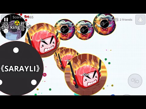 THE REVENGE WITH VOX (AGARIO MOBILE)