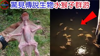 Re: [閒聊] 幹真假 原來蜘蛛不是昆蟲喔...