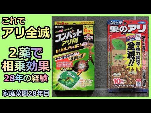 アリは苗の油を食べるので、アリを追い払い、オレンジの皮を遠ざけますか？