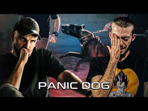 « Il saute même sur les murs pour mordre les gens 😨 » Malinois Agressif - Panic Dog #24