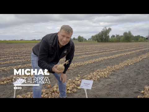 Profesjonalna uprawa cebuli w gospodarstwie Państwa Siemianowskich - CebuLOVE