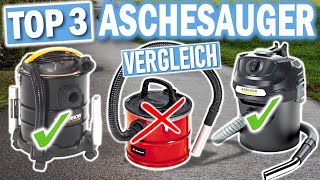 ASCHESAUGER: Die 3 Besten Modelle 2025!