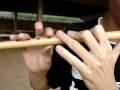 Irodori Kodo (fue)
