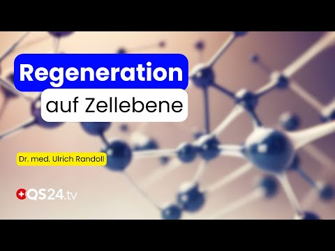 Systems Medicine vs. Matrix Philosophy: The New Way of Understanding Health | Natural Medicine | ...