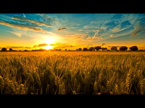 Dinka, George F. Zimmer - Soma Is Language (Proff Remix) [FULL] [HD]