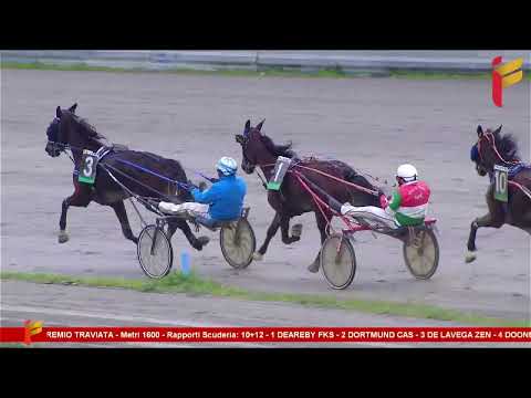 I Corsa del 4 Marzo 2023 - 4 Anni - Metri 1600