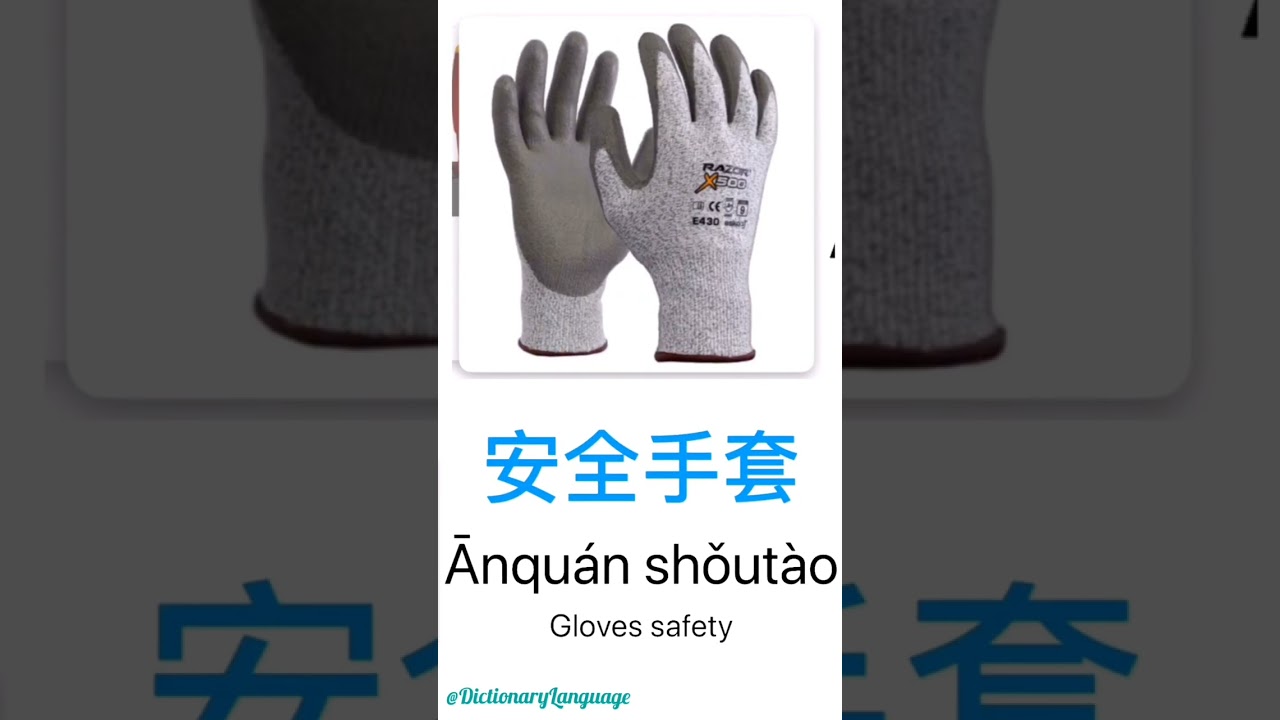 Ep21_Learn Chinese Pinyin To English words with pictures vocabulary ( @dictionaryLanguage )