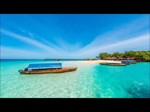 Papp Zongoraiskola II. - 23