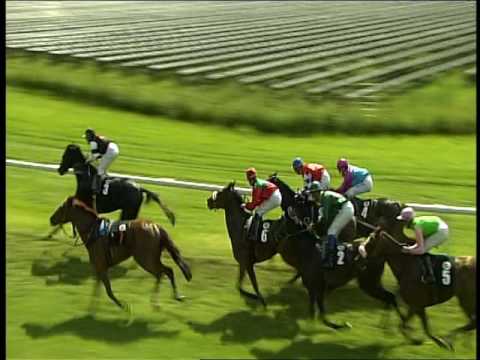 Galopprennbahn Dresden - 18.06.2016 - 9.Rennen