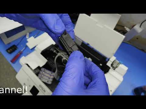 Снятие и промывка печатающей головки Epson XP-303/313/335/342/352